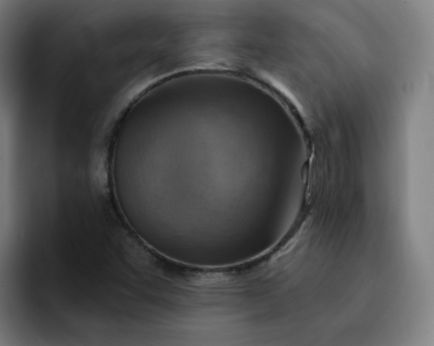 X0000093261455200710101450