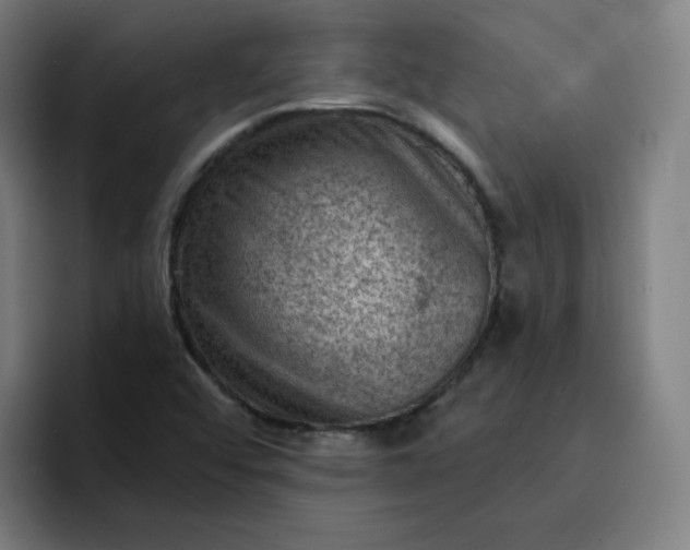 X0000093261456200710101450