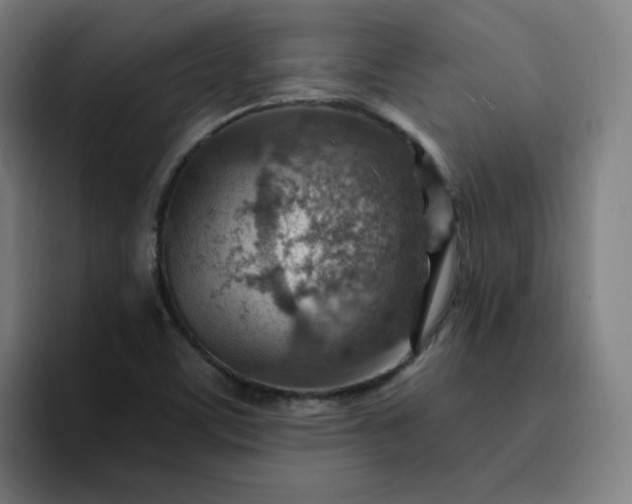 X0000093261459200710101450