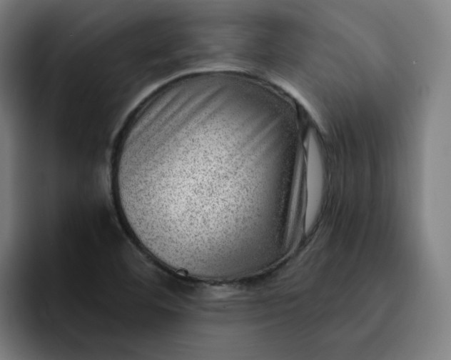 X0000093261460200710101450