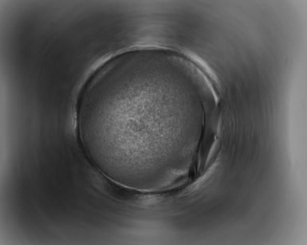 X0000093261461200710101450