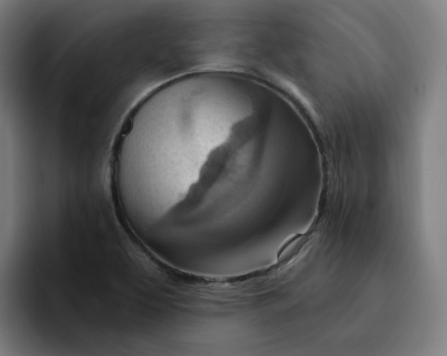 X0000093261463200710101450