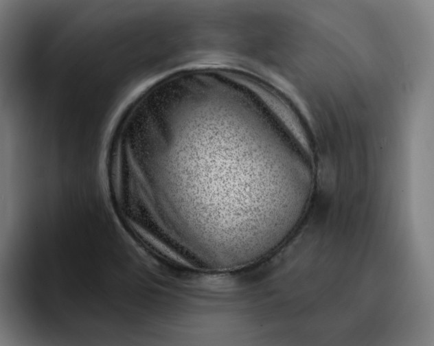 X0000093261464200710101450