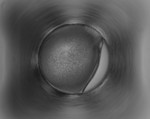 X0000093261465200710101450