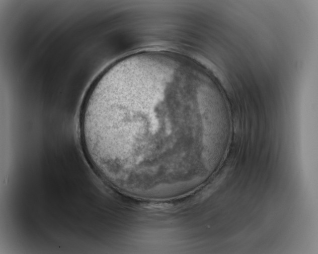 X0000093261466200710101450