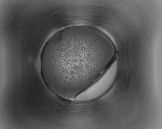 X0000093261467200710101450