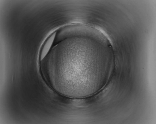 X0000093261469200710101450