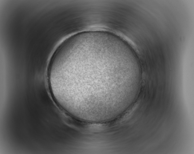 X0000093261470200710101450