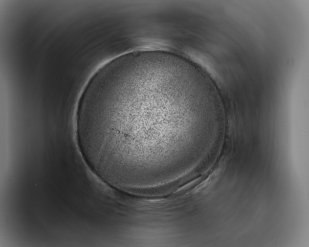 X0000093261471200710101450