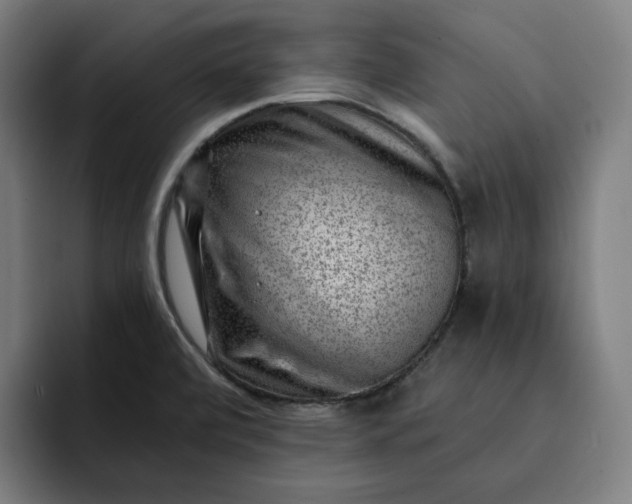 X0000093261472200710101450