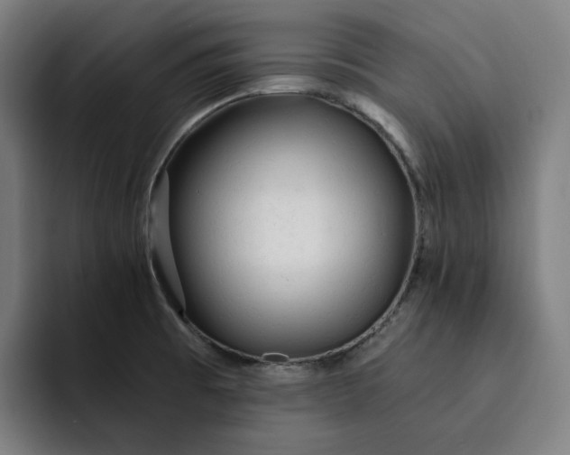 X0000093261473200710101450