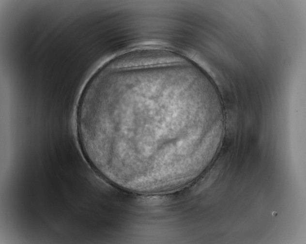 X0000093261474200710101450