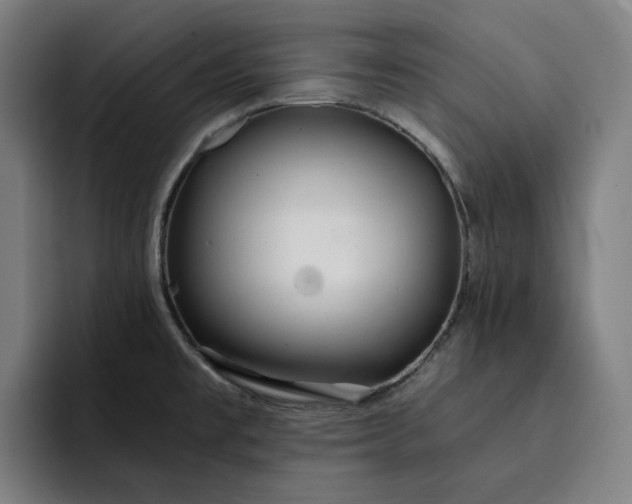 X0000093261477200710101450