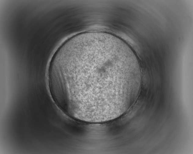 X0000093261478200710101450