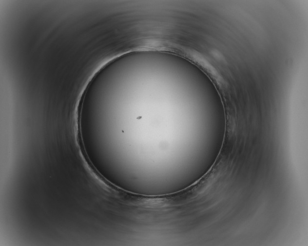 X0000093261479200710101450