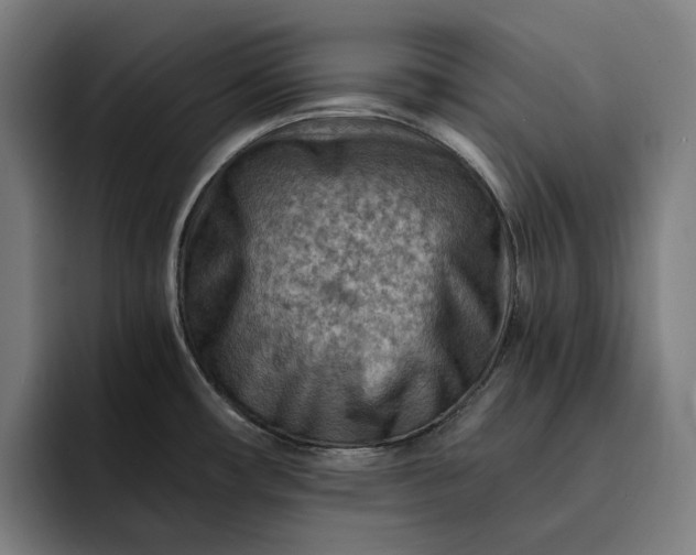 X0000093261482200710101450