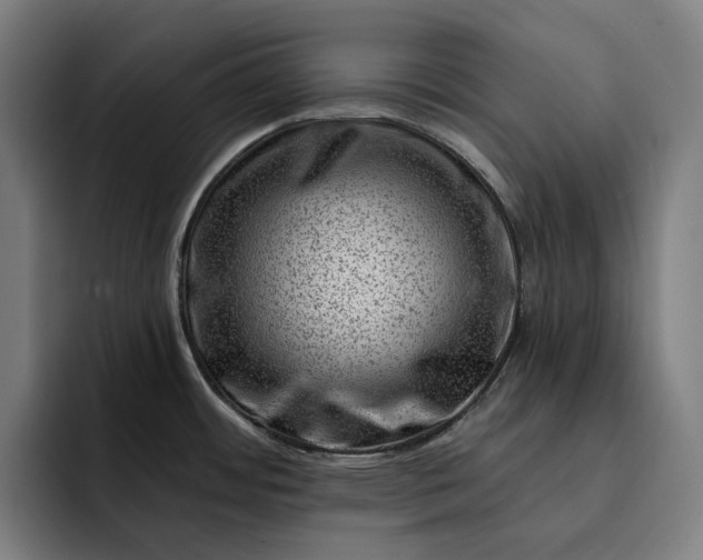 X0000093261484200710101450