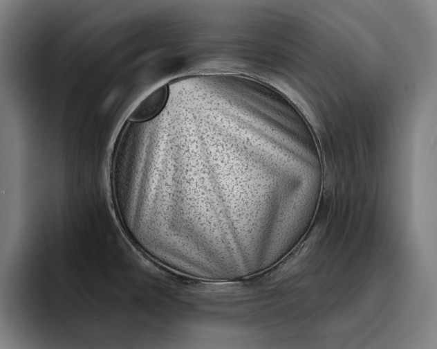 X0000093261486200710101450