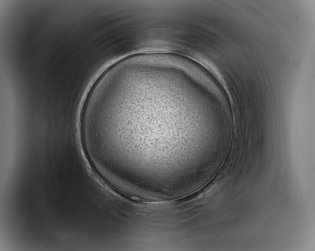 X0000093261488200710101450