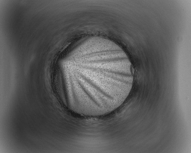 X0000093261489200710101449