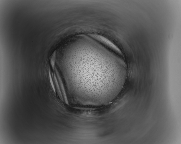 X0000093261490200710101449