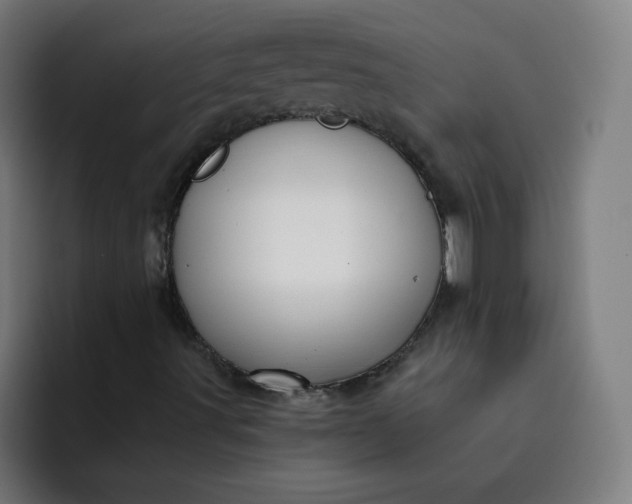 X0000093261491200710101449