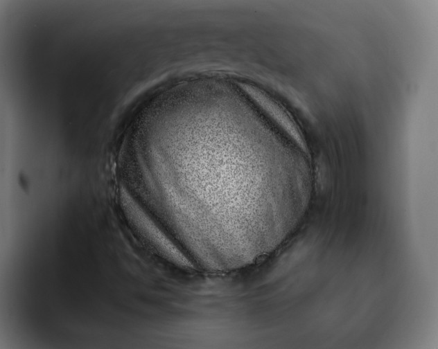 X0000093261494200710101449