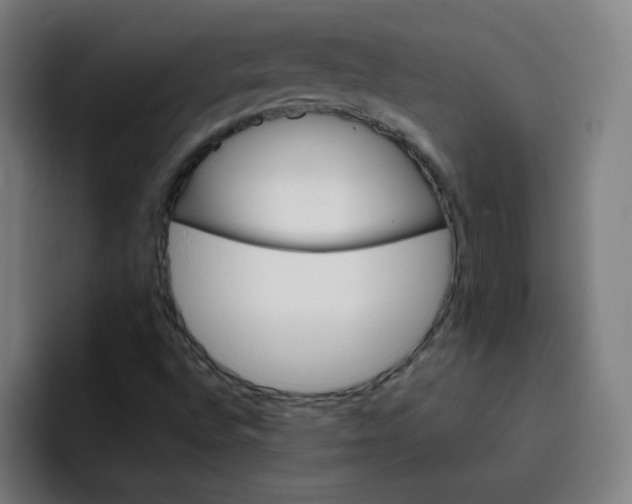 X0000093261496200710101449