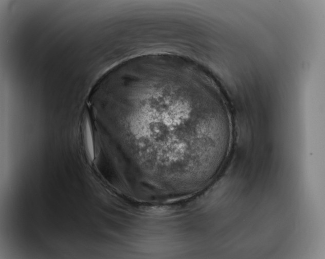 X0000093261497200710101449