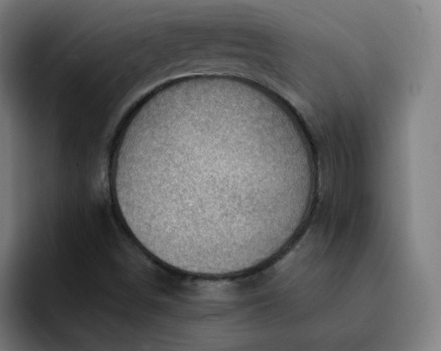 X0000093261498200710101449