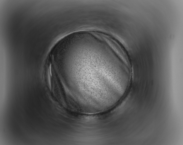 X0000093261501200710101449