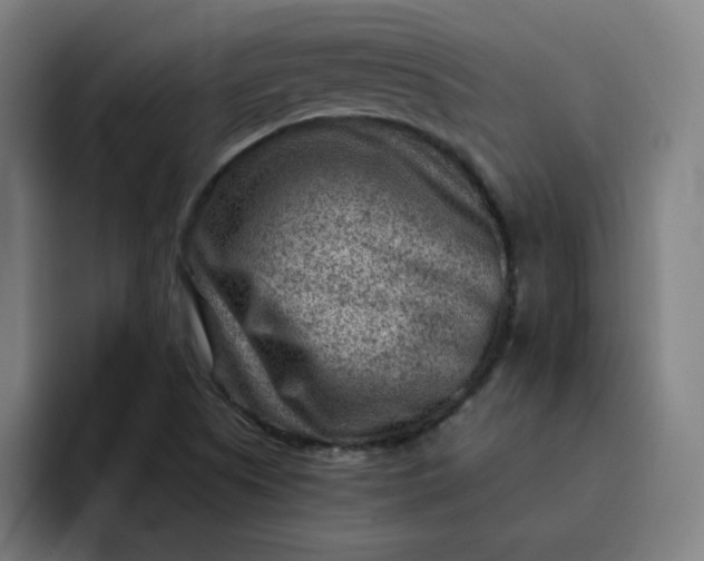 X0000093261505200710101449