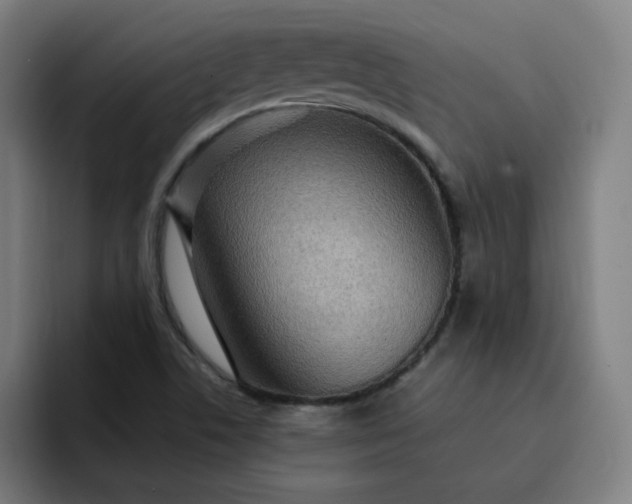 X0000093261506200710101449