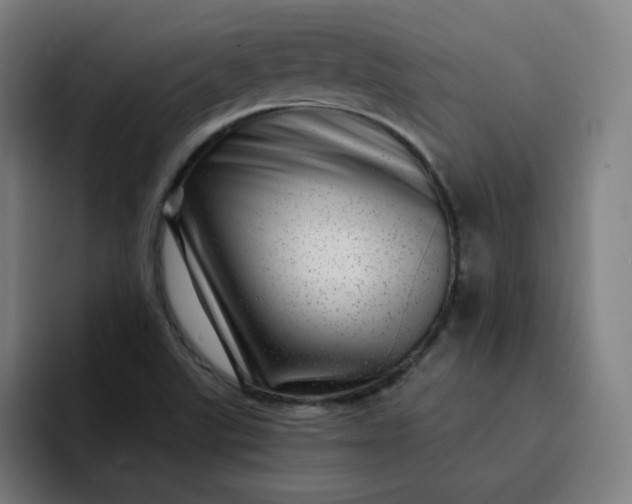 X0000093261507200710101449