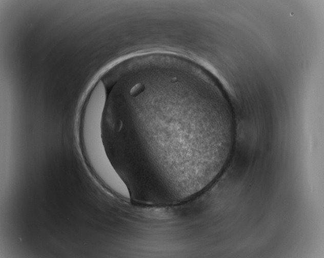 X0000093261508200710101449