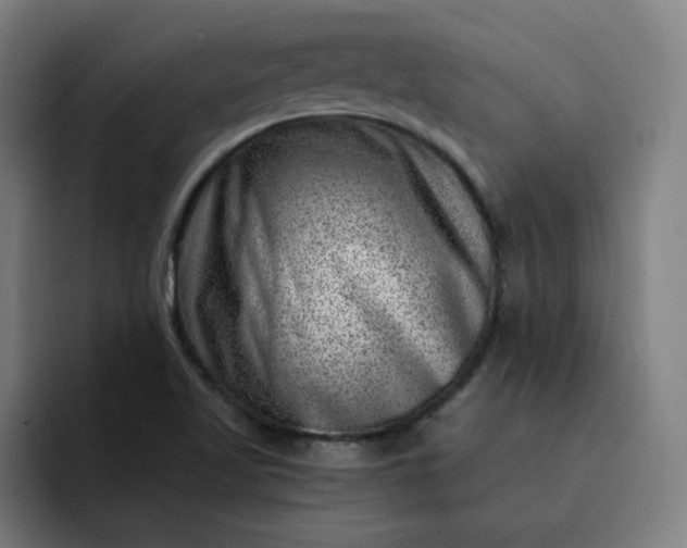 X0000093261509200710101449