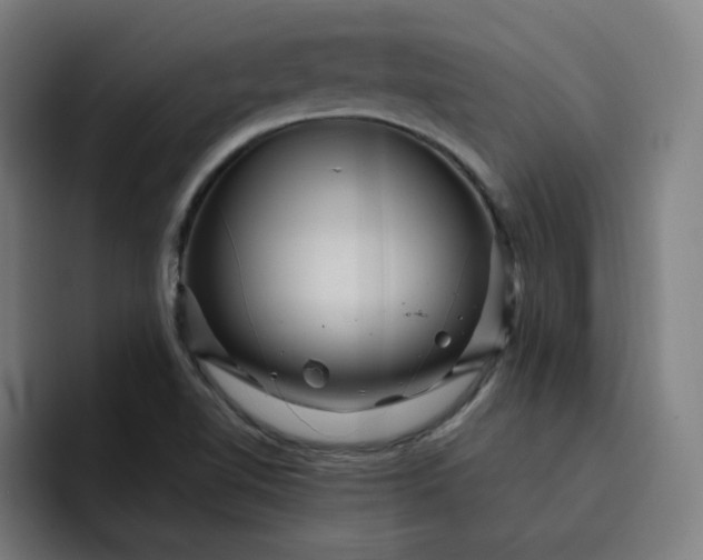 X0000093261510200710101449