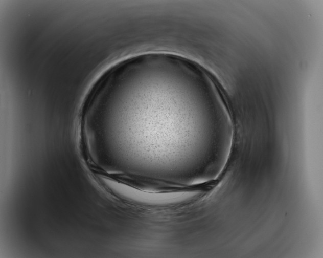 X0000093261511200710101449