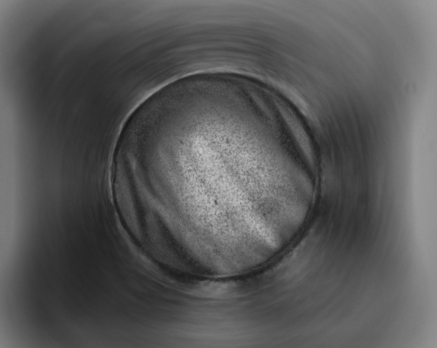 X0000093261513200710101449