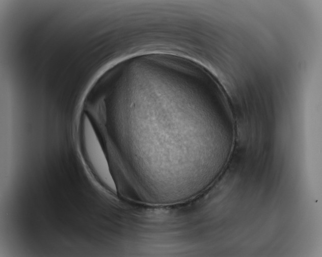 X0000093261515200710101449