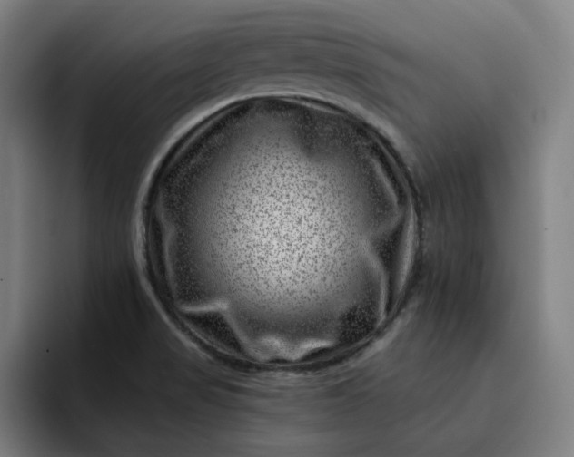 X0000093261517200710101449