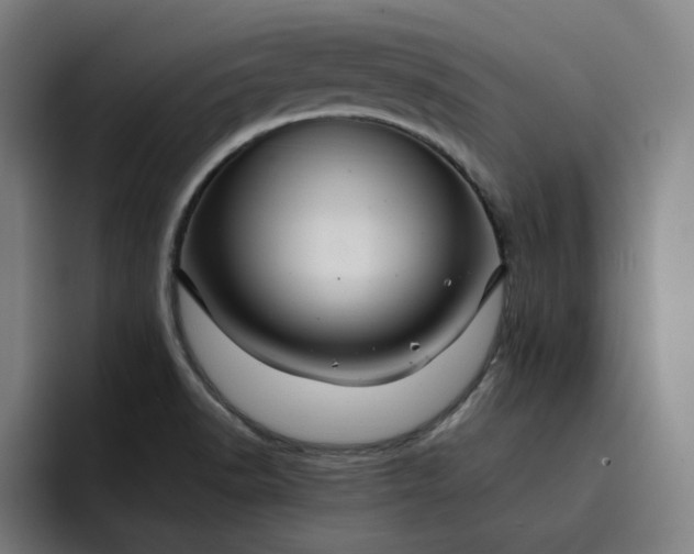 X0000093261518200710101450