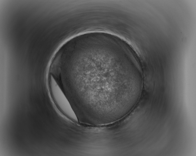 X0000093261519200710101450