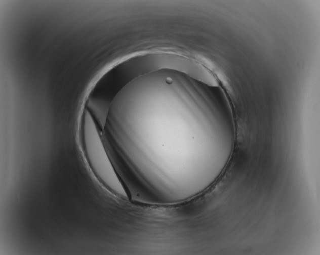 X0000093261520200710101450