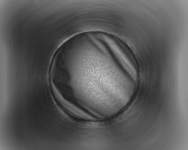 X0000093261521200710101450