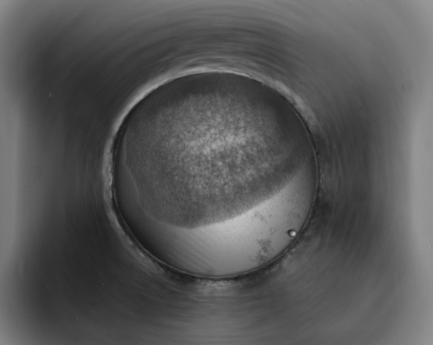 X0000093261522200710101450