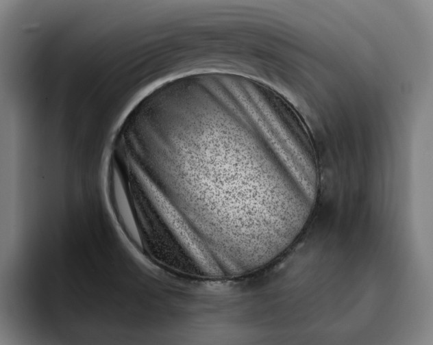 X0000093261523200710101450