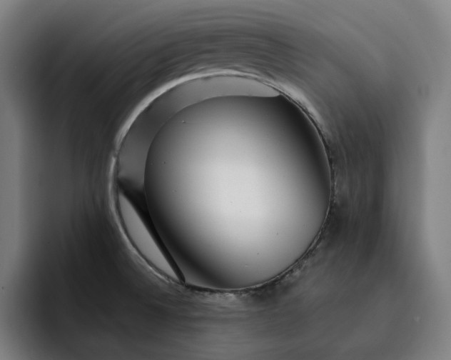 X0000093261524200710101450