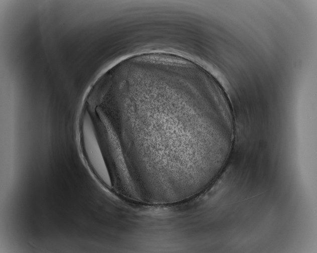 X0000093261525200710101450