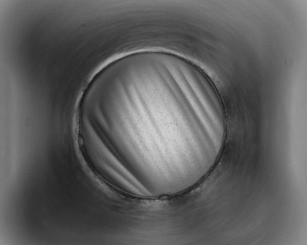 X0000093261526200710101450